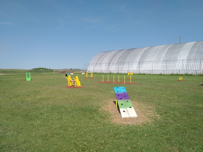 Niverville Dog Park dog park in Niverville, Manitoba