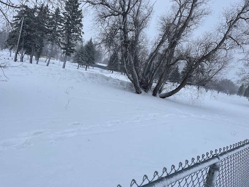 Selkirk off-leash Dog Park dog park in Selkirk, Manitoba