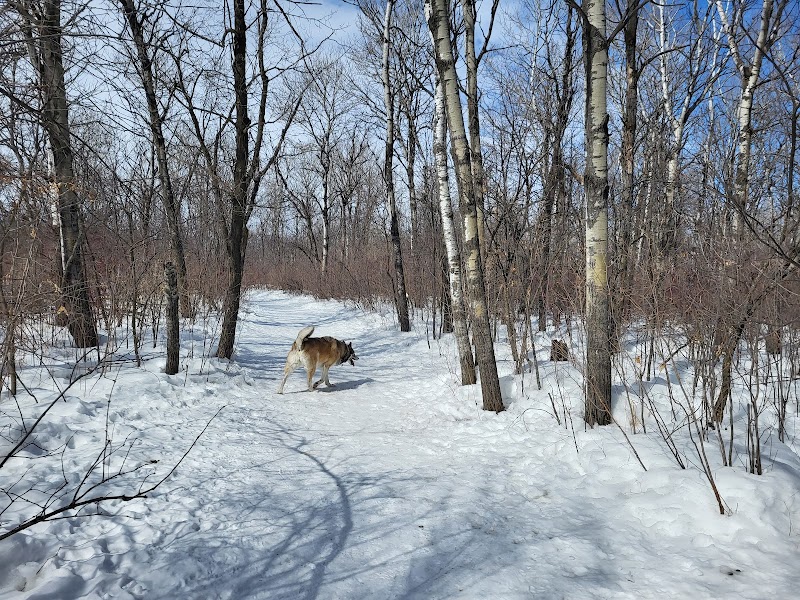 Little Mountain Off-Leash dog park in Rosser, Manitoba