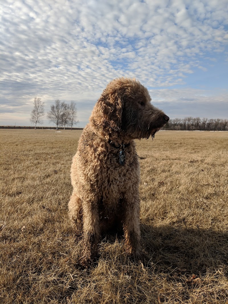 Little Mountain Off-Leash dog park in Rosser, Manitoba