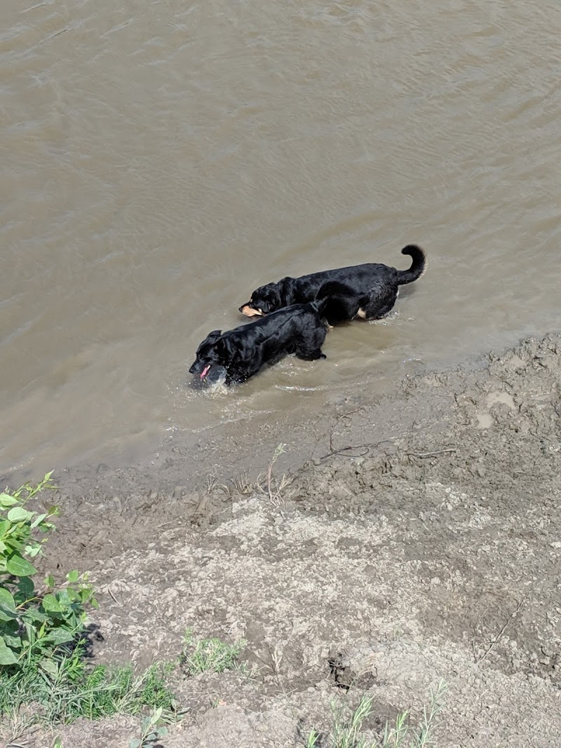 Maple Grove Dog Park dog park in Winnipeg, Manitoba