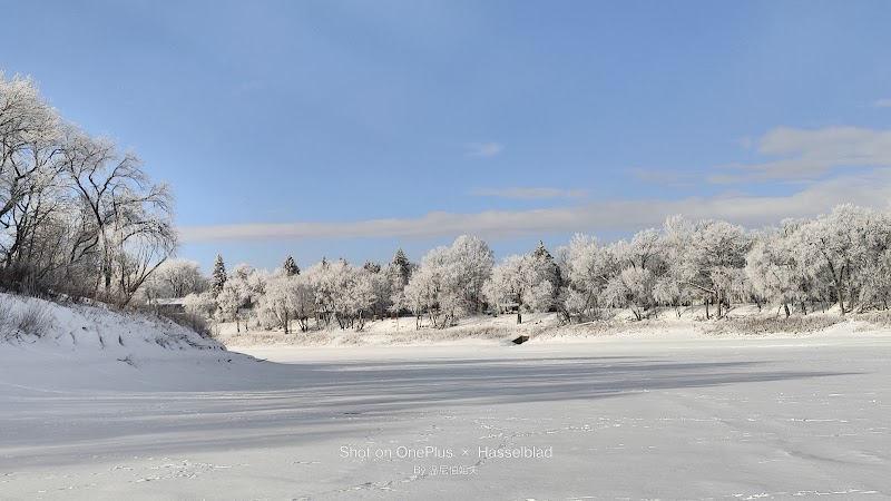 Maple Grove Dog Park dog park in Winnipeg, Manitoba