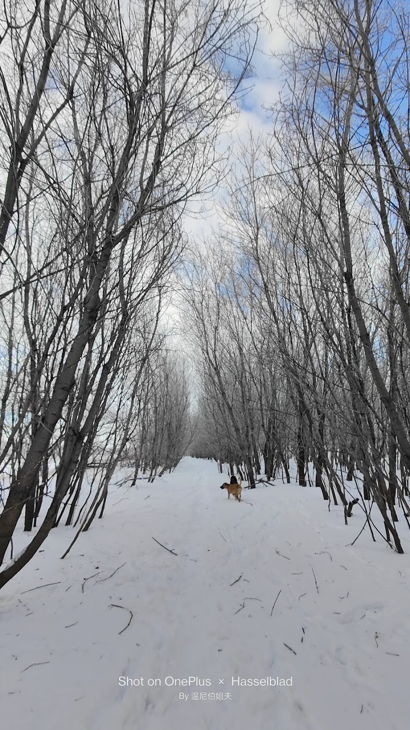 Maple Grove Dog Park dog park in Winnipeg, Manitoba