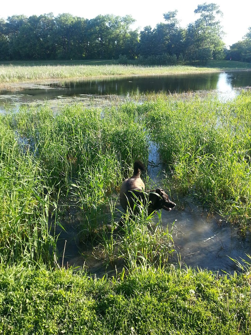 Kings Park Off-leash Dog Park dog park in Winnipeg, Manitoba
