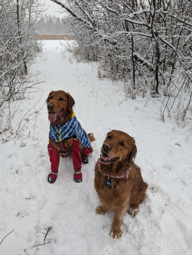 Brenda Leipsic Off-leash Dog Park dog park in Winnipeg, Manitoba