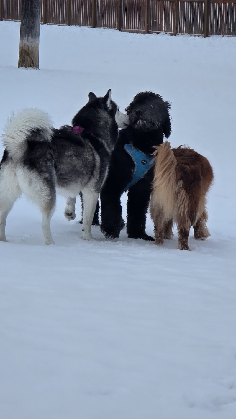 Brenda Leipsic Off-leash Dog Park dog park in Winnipeg, Manitoba