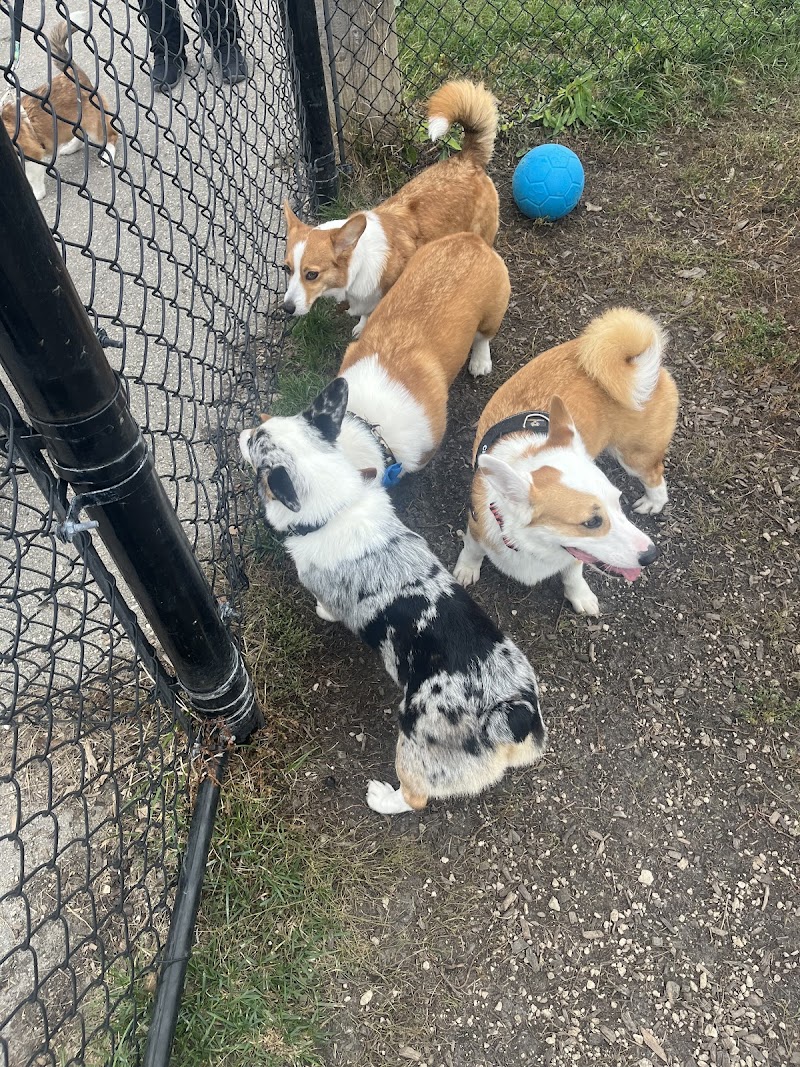 Devonshire Village Dog Park dog park in Winnipeg, Manitoba