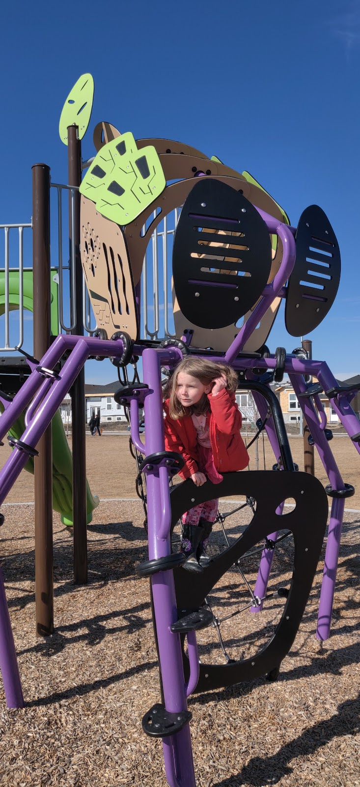 Devonshire Village Dog Park dog park in Winnipeg, Manitoba