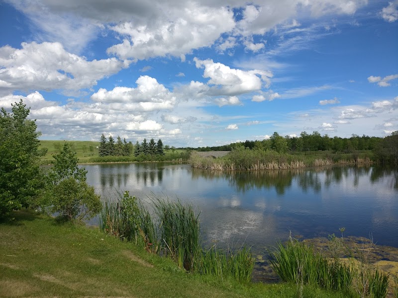 Kilcona Multi-Use Park dog park in Winnipeg, Manitoba