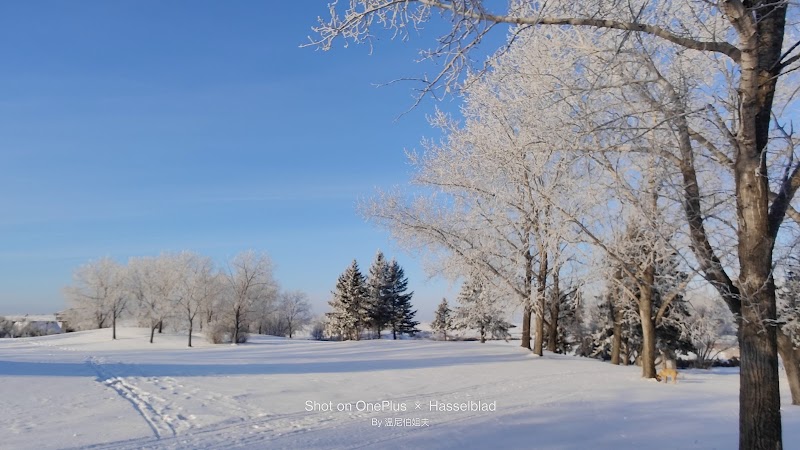 Kilcona Multi-Use Park dog park in Winnipeg, Manitoba