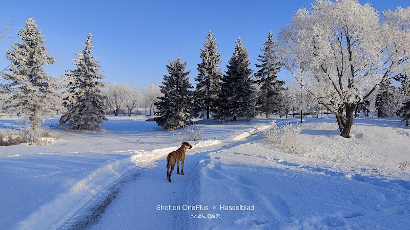 Kilcona Multi-Use Park dog park in Winnipeg, Manitoba