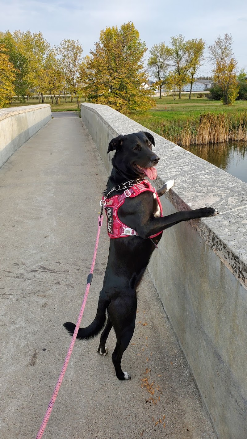 Kilcona Multi-Use Park dog park in Winnipeg, Manitoba