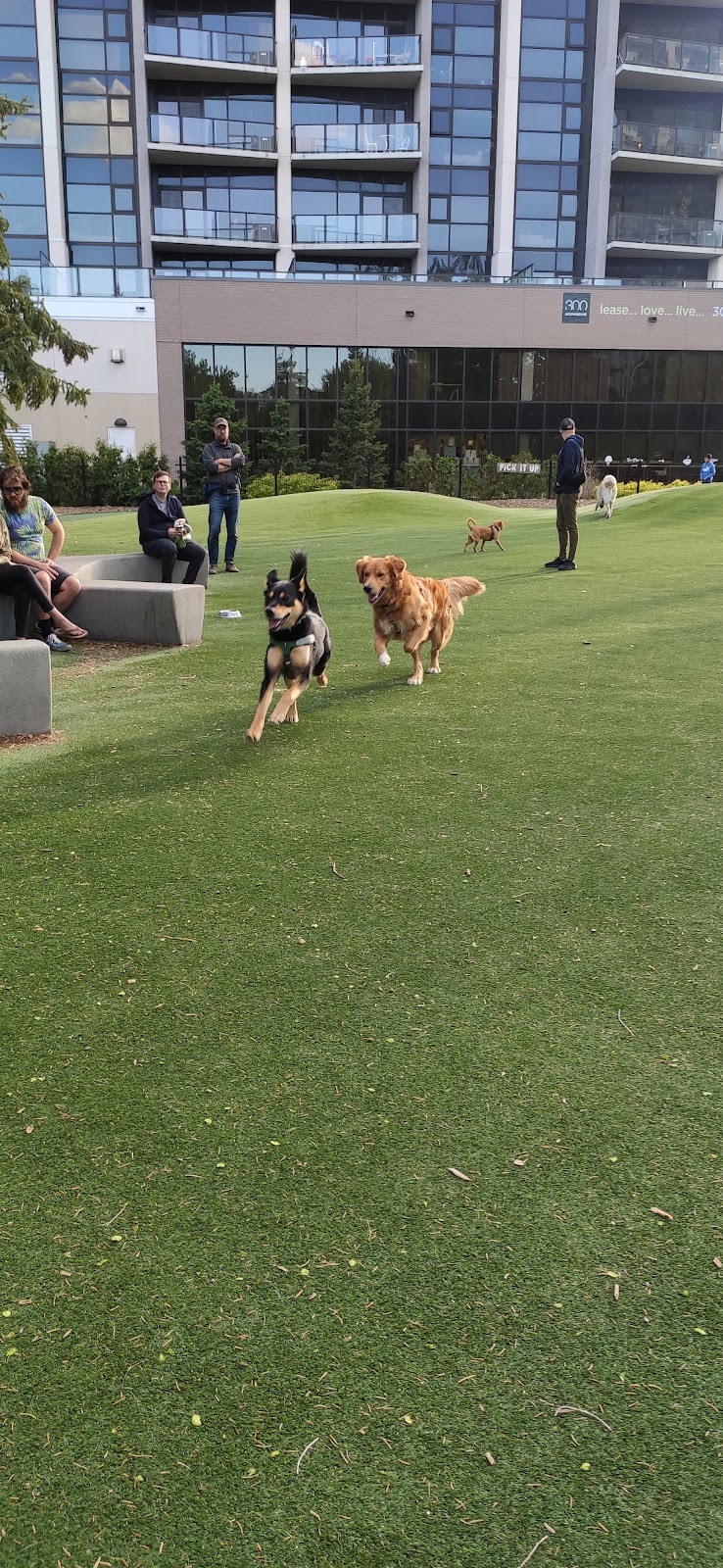 Bonnycastle Dog Park dog park in Winnipeg, Manitoba