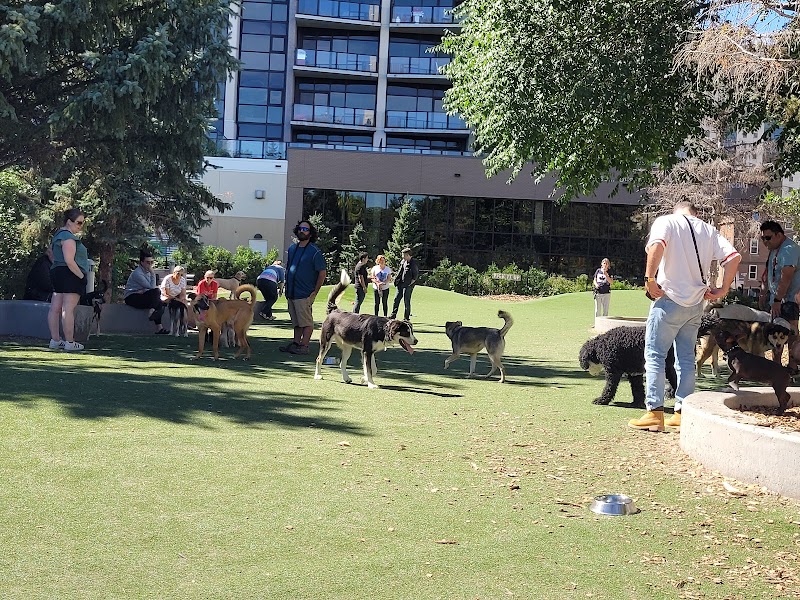 Bonnycastle Dog Park dog park in Winnipeg, Manitoba