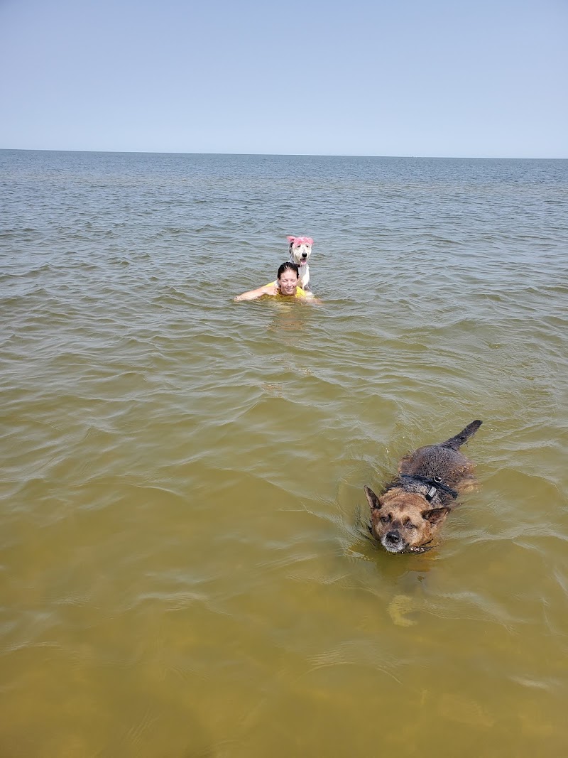 Grand Beach Dog Swim Area dog park in Grand Marais, Manitoba