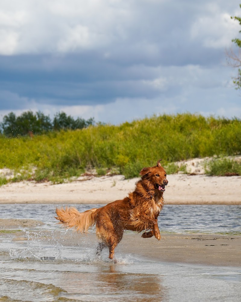 Grand Beach Dog Swim Area dog park in Grand Marais, Manitoba