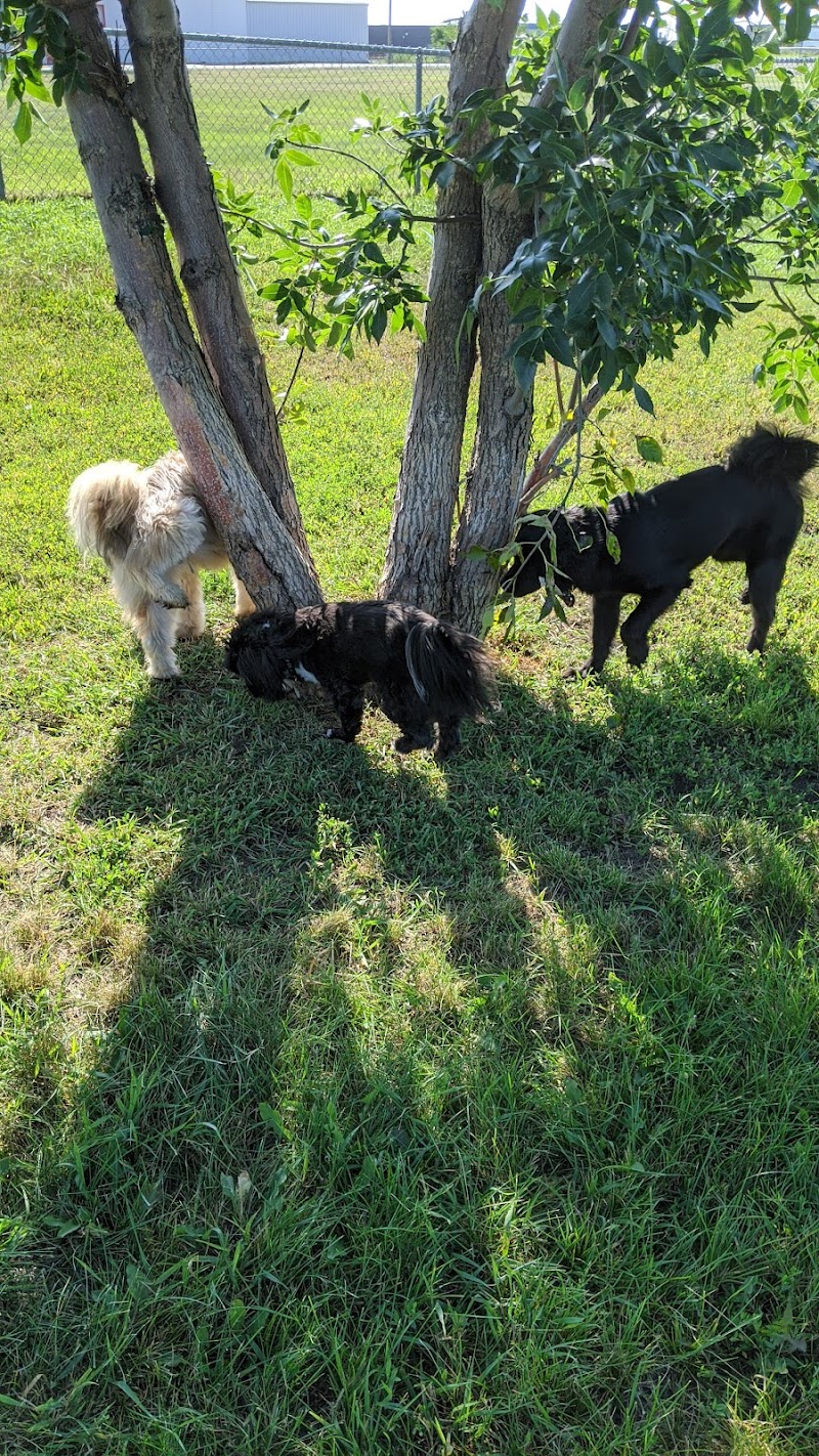 Brandon Off Leash Dog Park dog park in Brandon, Manitoba