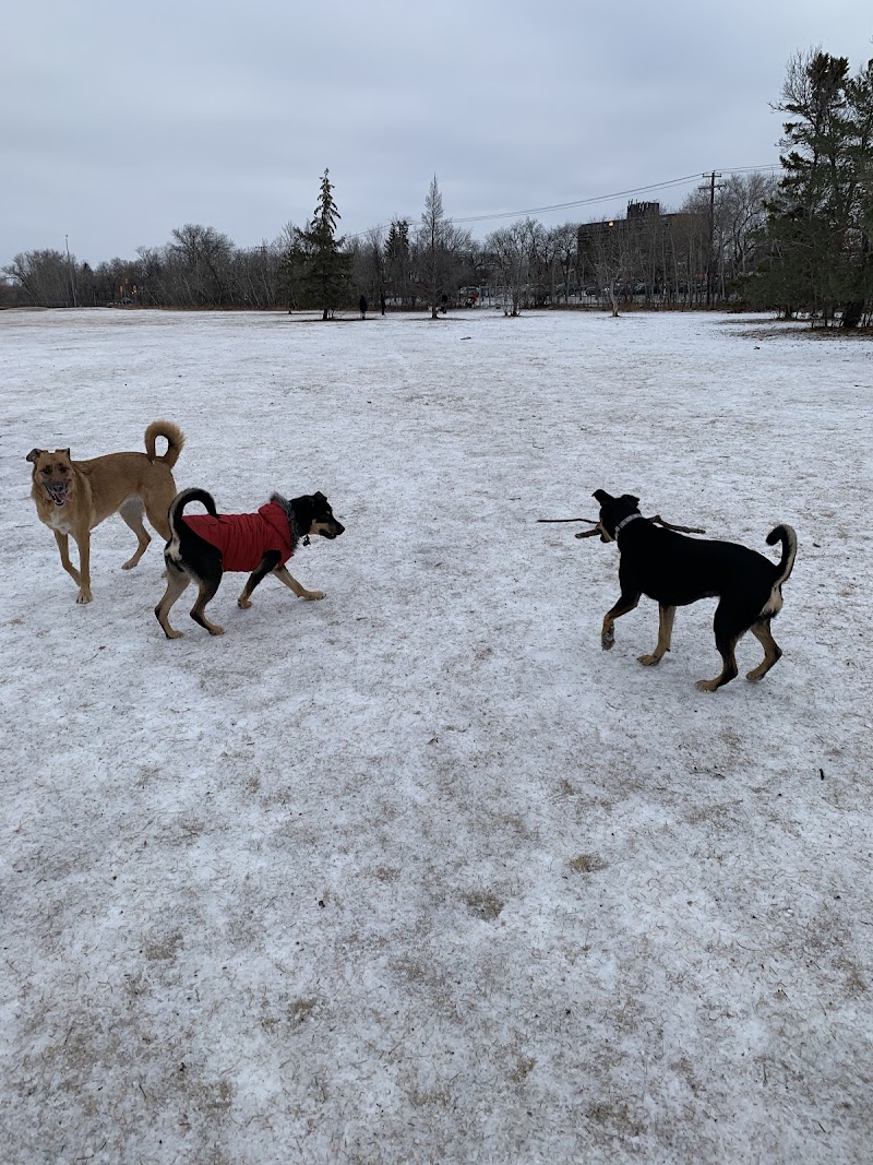 Dog Park dog park in Winnipeg, Manitoba