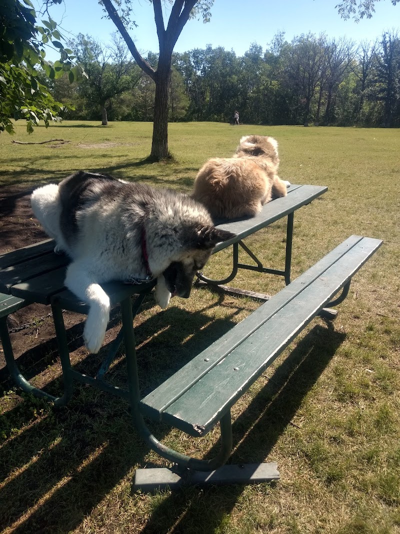 Dog Park dog park in Winnipeg, Manitoba