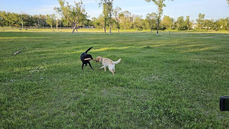 Dog Park dog park in Winnipeg, Manitoba