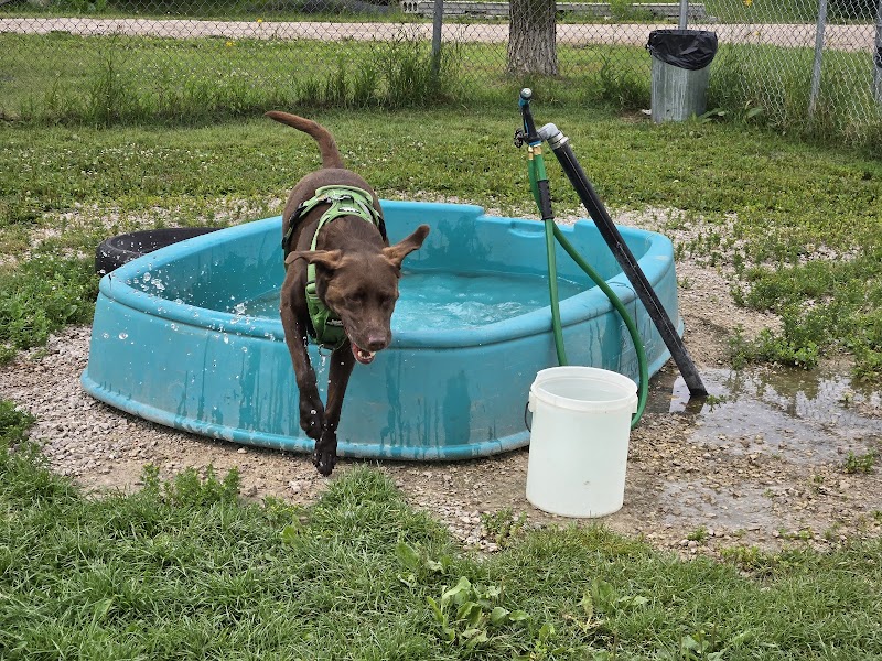 Dauphin Dog Park dog park in Dauphin, Manitoba