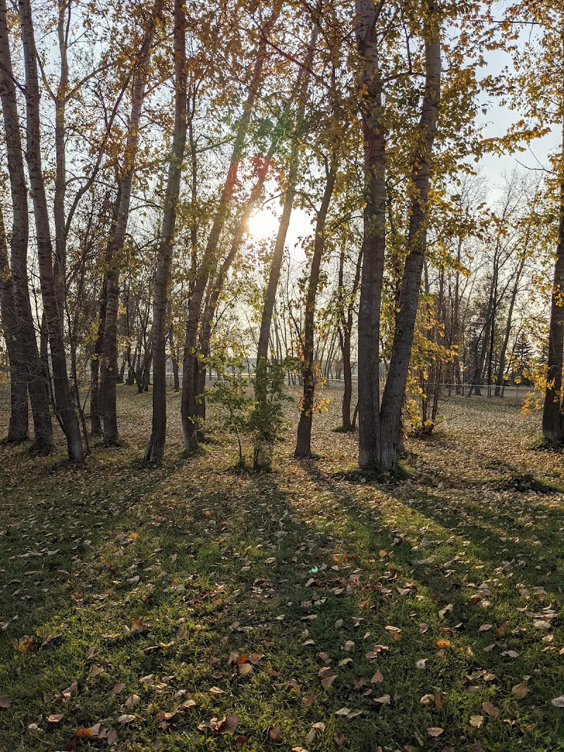 Portage la Prairie Dog Park dog park in Southport, Manitoba