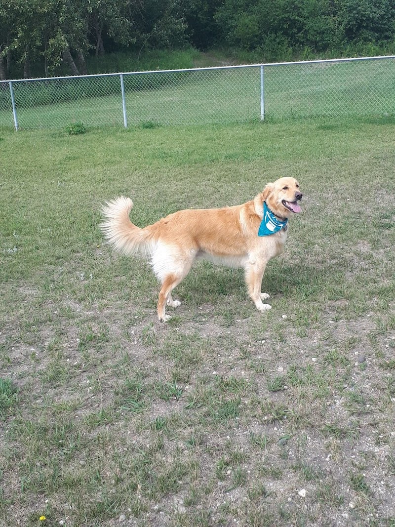 Hanbury Hill Pooch Park dog park in Brandon, Manitoba