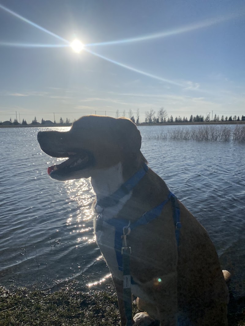 Mazenod Off-leash Park dog park in Winnipeg, Manitoba