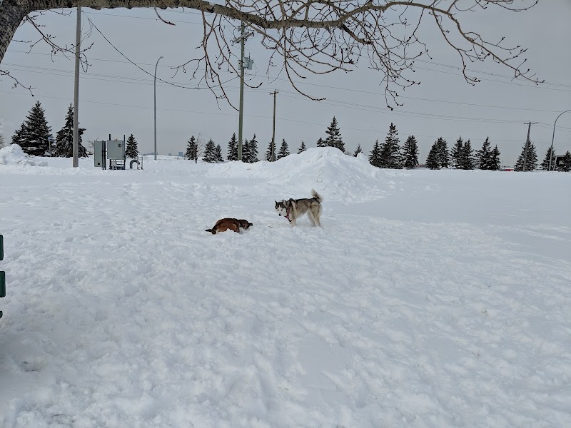 Mazenod Off-leash Park dog park in Winnipeg, Manitoba
