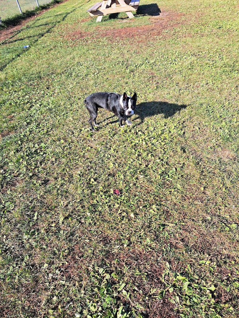 Baulch Road Dog Park dog park in Port Hope, Ontario