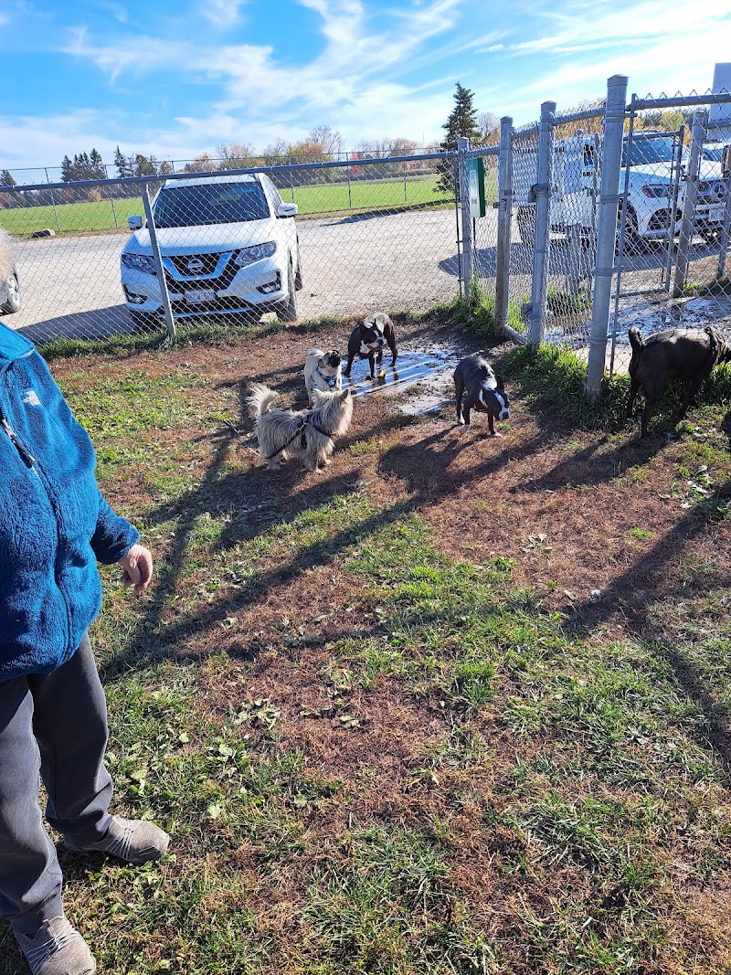 Baulch Road Dog Park dog park in Port Hope, Ontario