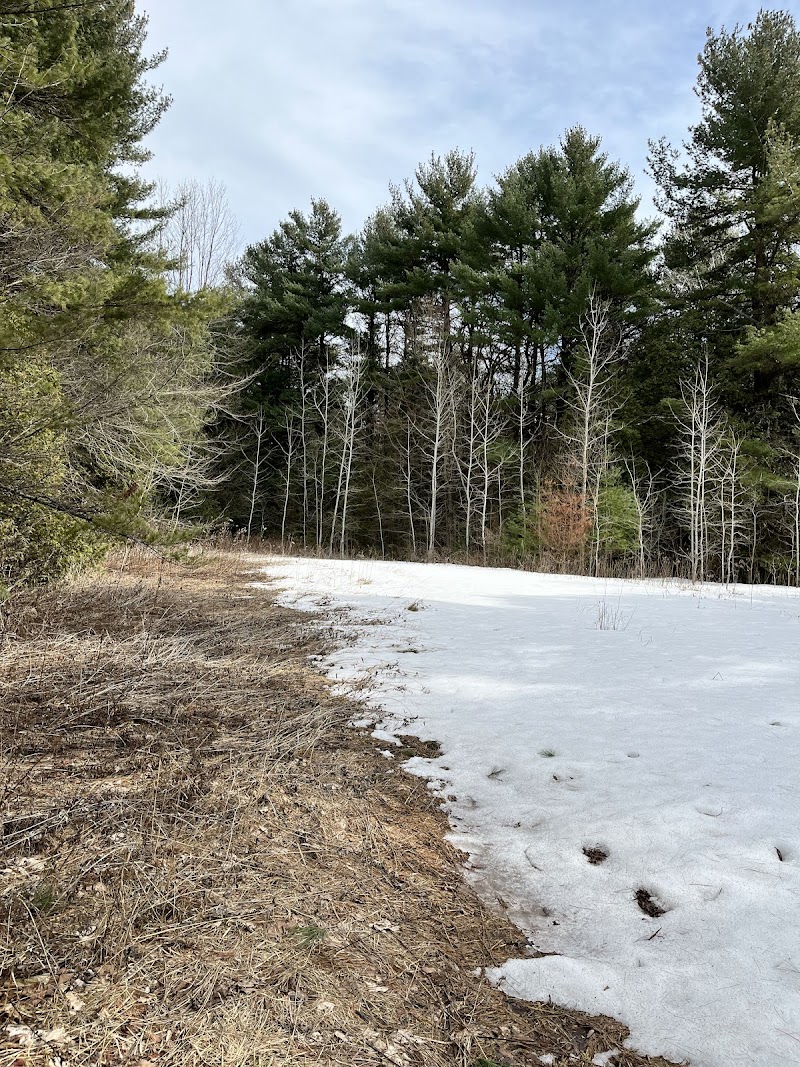 Praveen’s private dog park dog park in Port Hope, Ontario