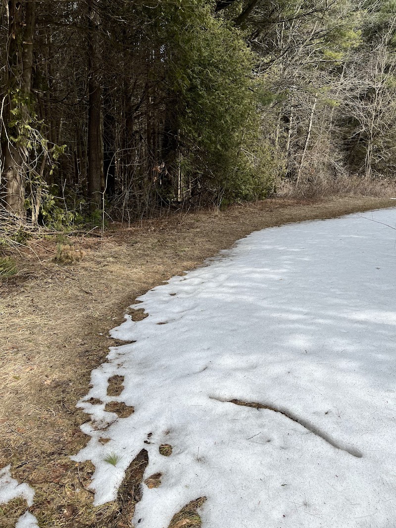 Praveen’s private dog park dog park in Port Hope, Ontario