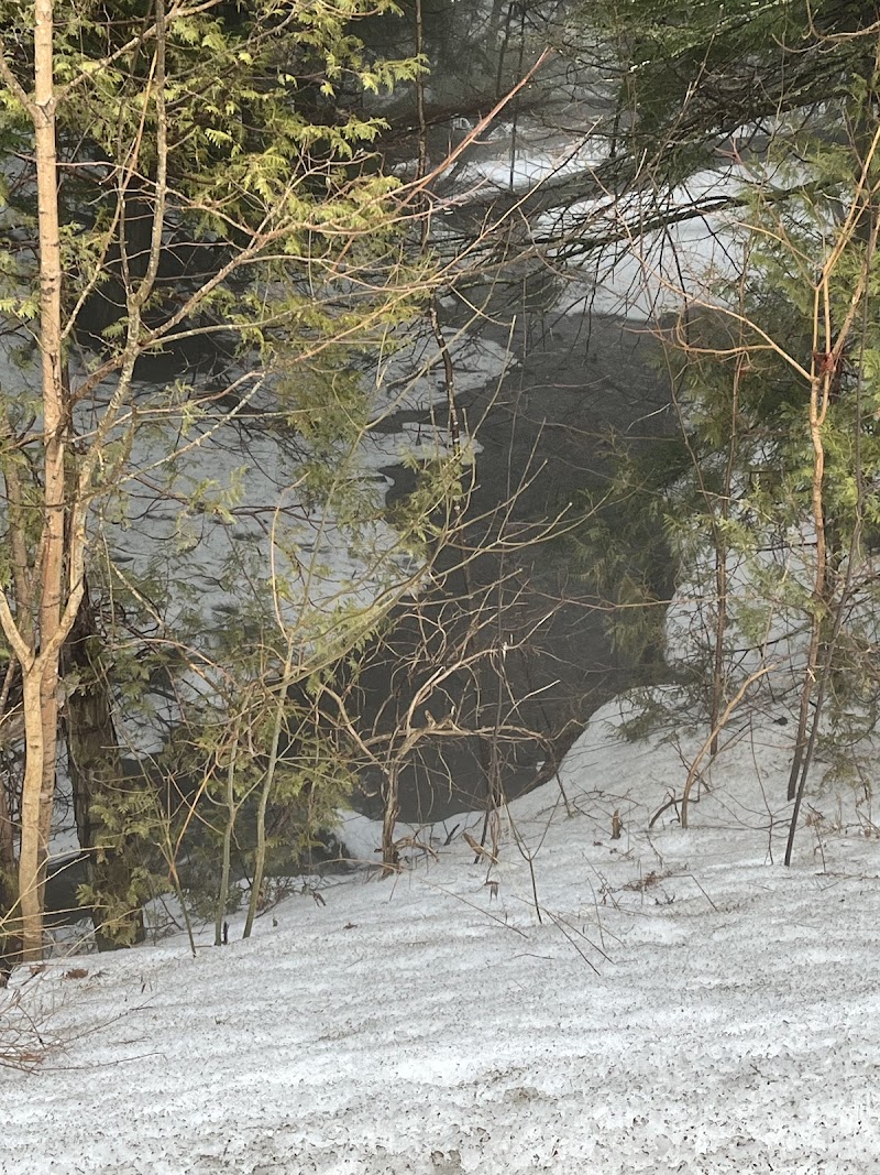 Praveen’s private dog park dog park in Port Hope, Ontario