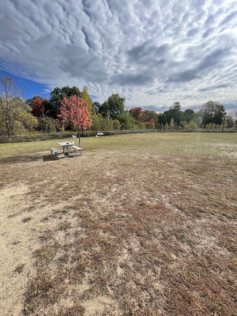 South Courtice Dog Park dog park in Courtice, Ontario