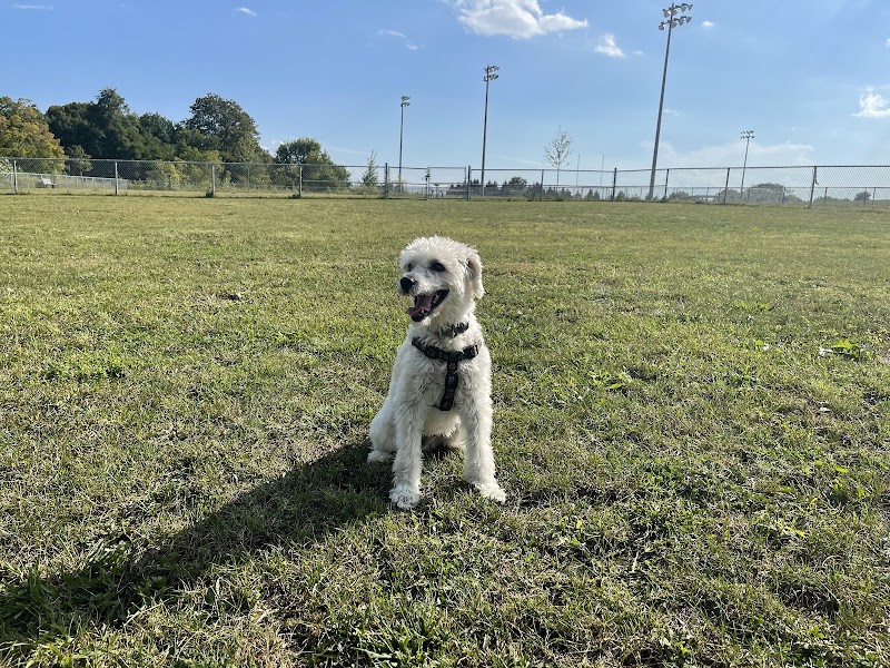 South Courtice Dog Park dog park in Courtice, Ontario