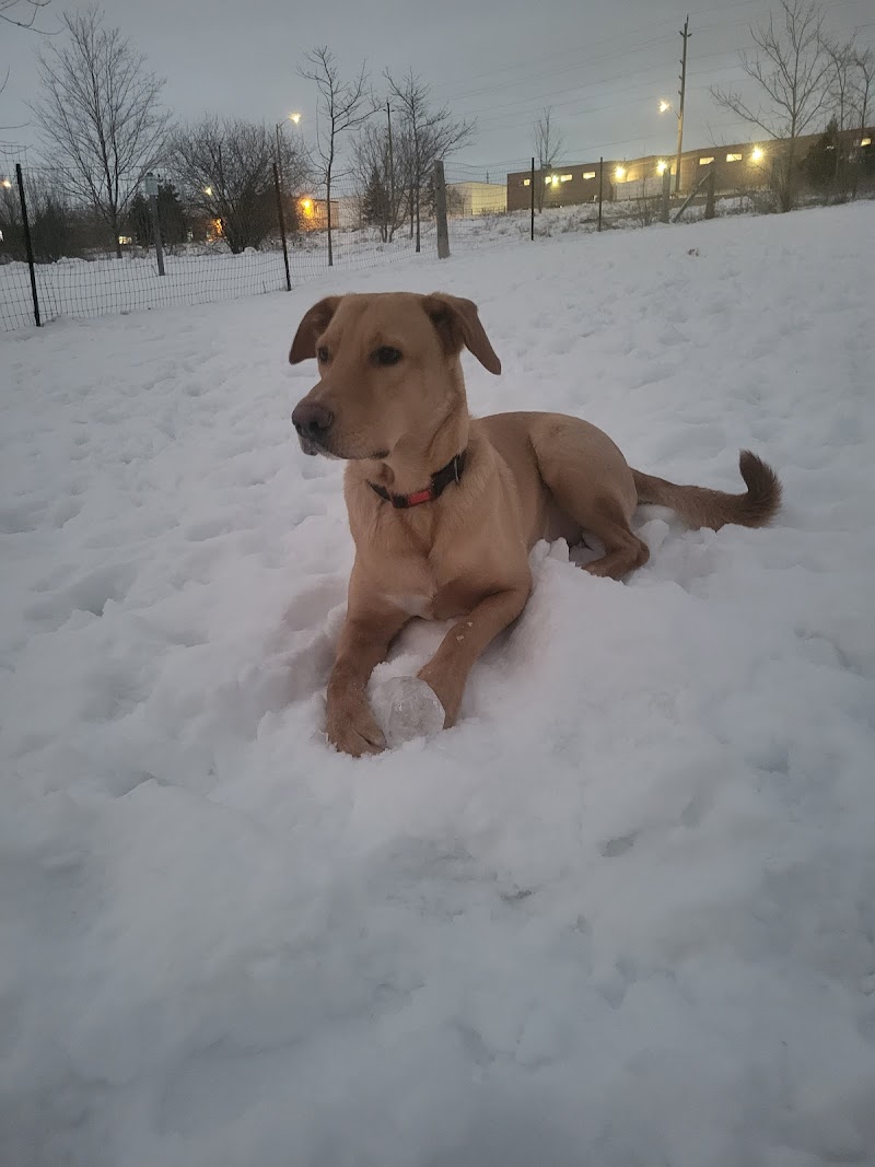 Lion's Park (fenced, off-leash dog park) dog park in Ajax, Ontario
