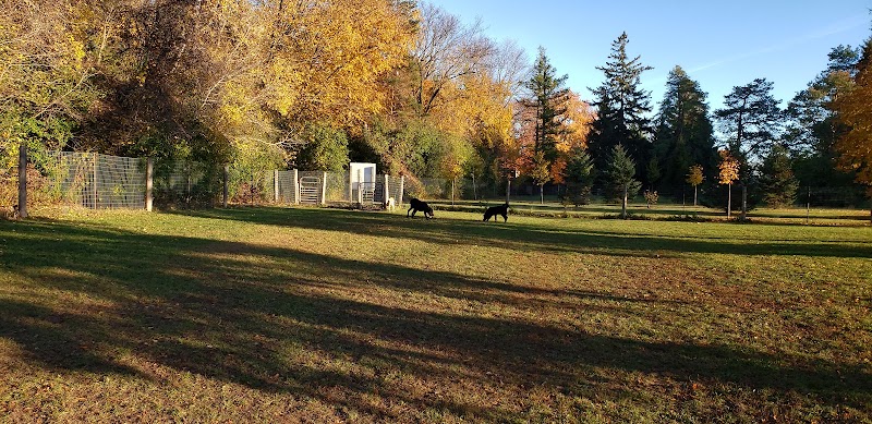 Hermitage Off-Leash Dog Park dog park in Ajax, Ontario