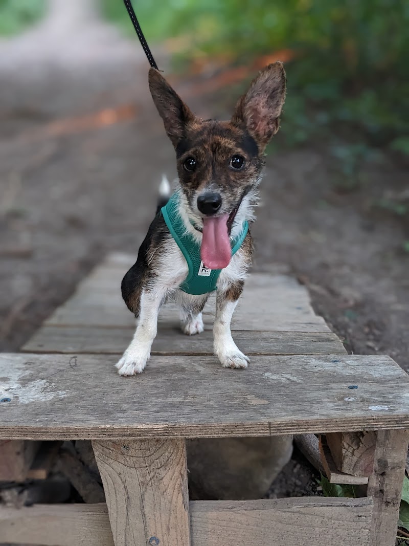 Hermitage Off-Leash Dog Park dog park in Ajax, Ontario