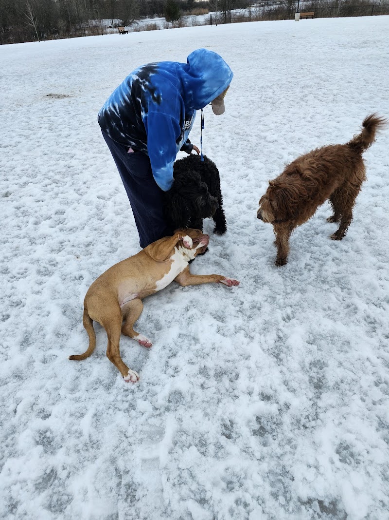 Van Stralen-Griffiths Dog Park dog park in Thorold, Ontario