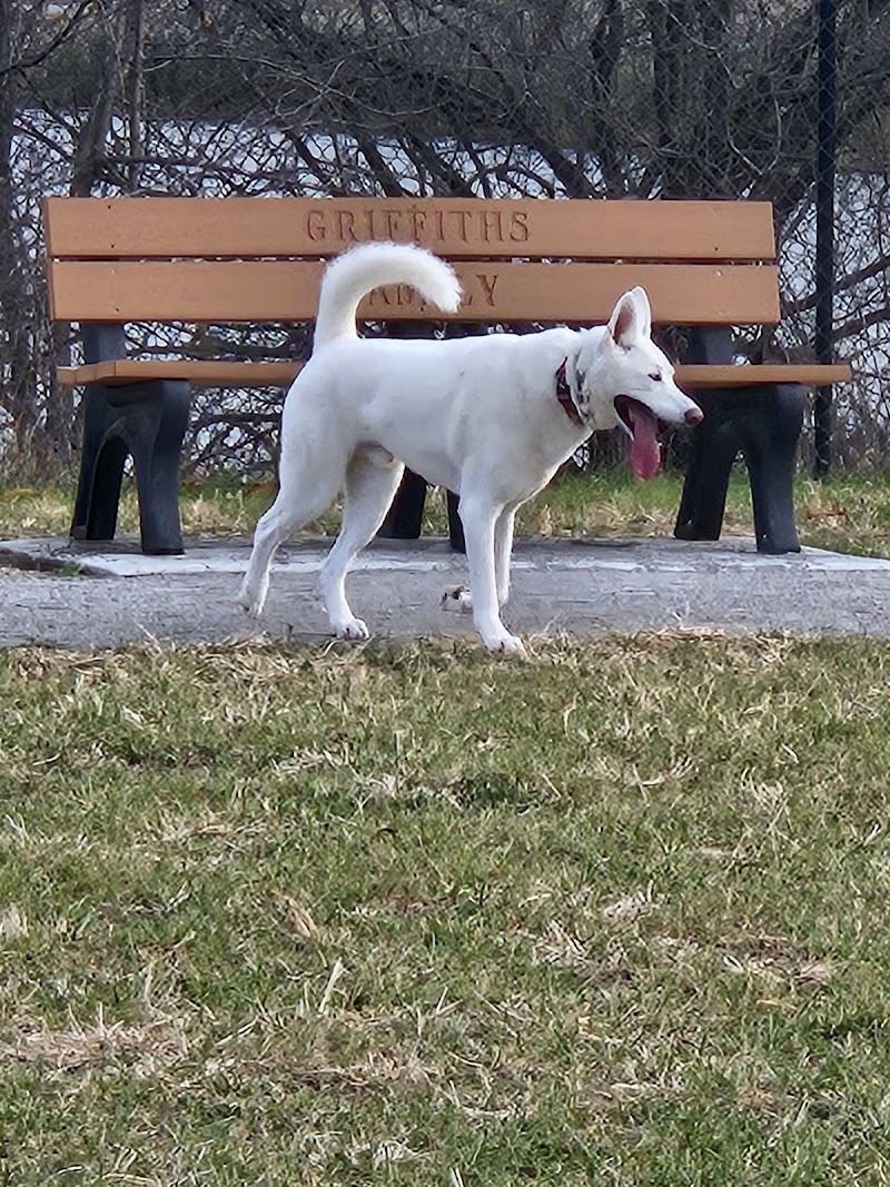 Van Stralen-Griffiths Dog Park dog park in Thorold, Ontario