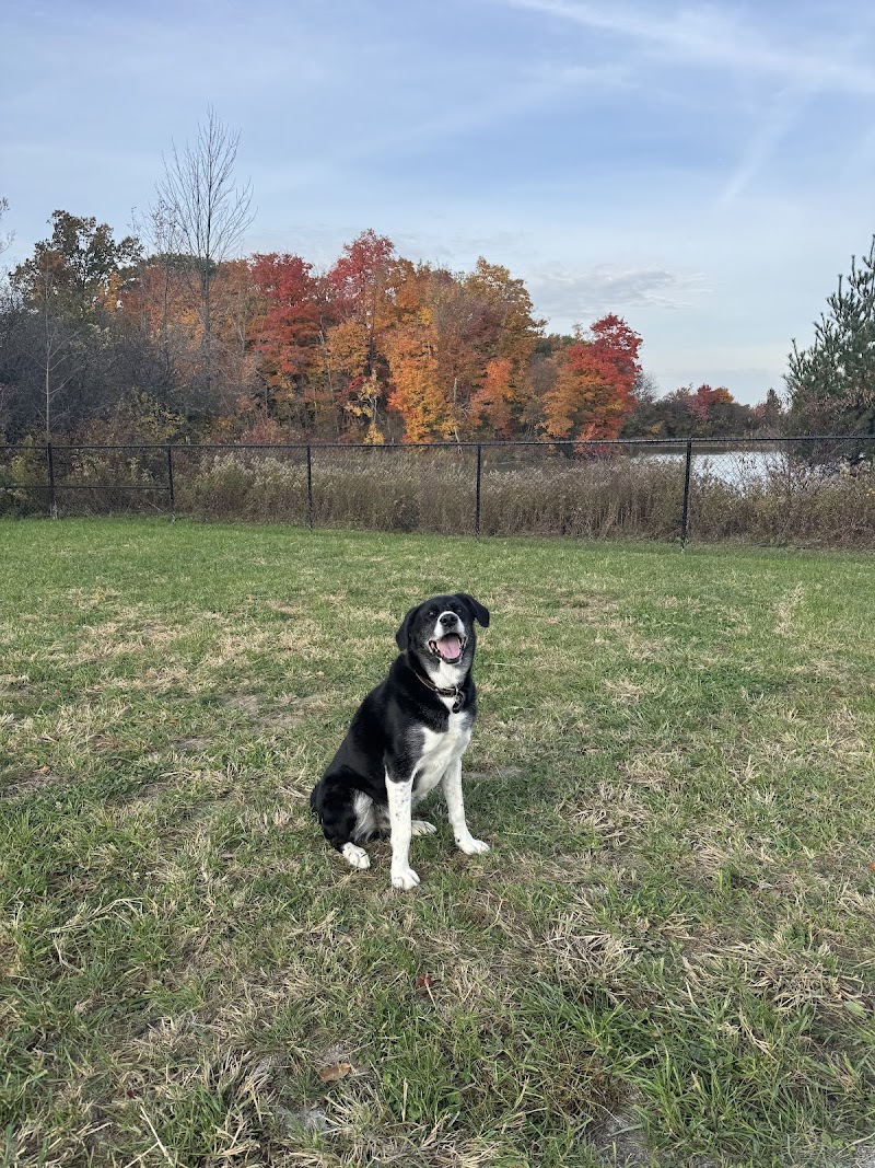 Van Stralen-Griffiths Dog Park dog park in Thorold, Ontario