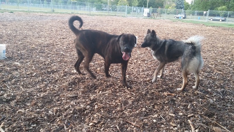 Catherine Street Park dog park in St. Catharines, Ontario