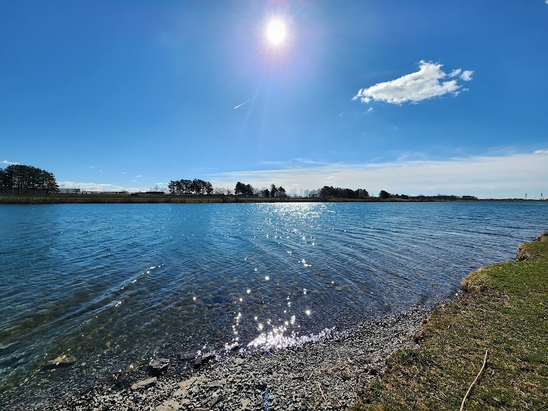 Welland Dog Park dog park in Welland, Ontario