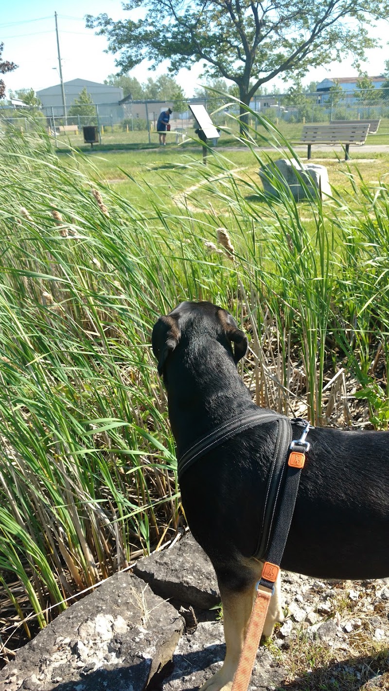 Welland Dog Park dog park in Welland, Ontario