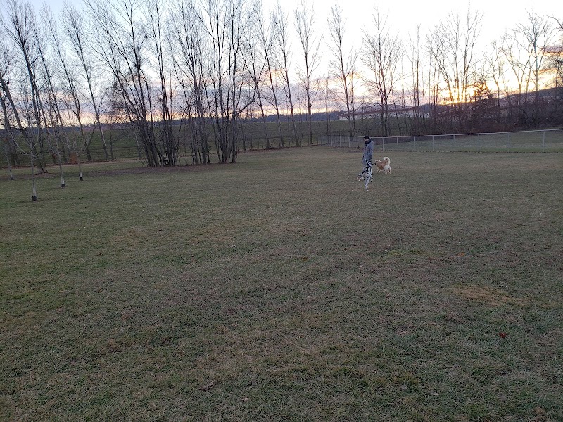 Steve McDonnell Leash Free Dog Park dog park in Grimsby, Ontario