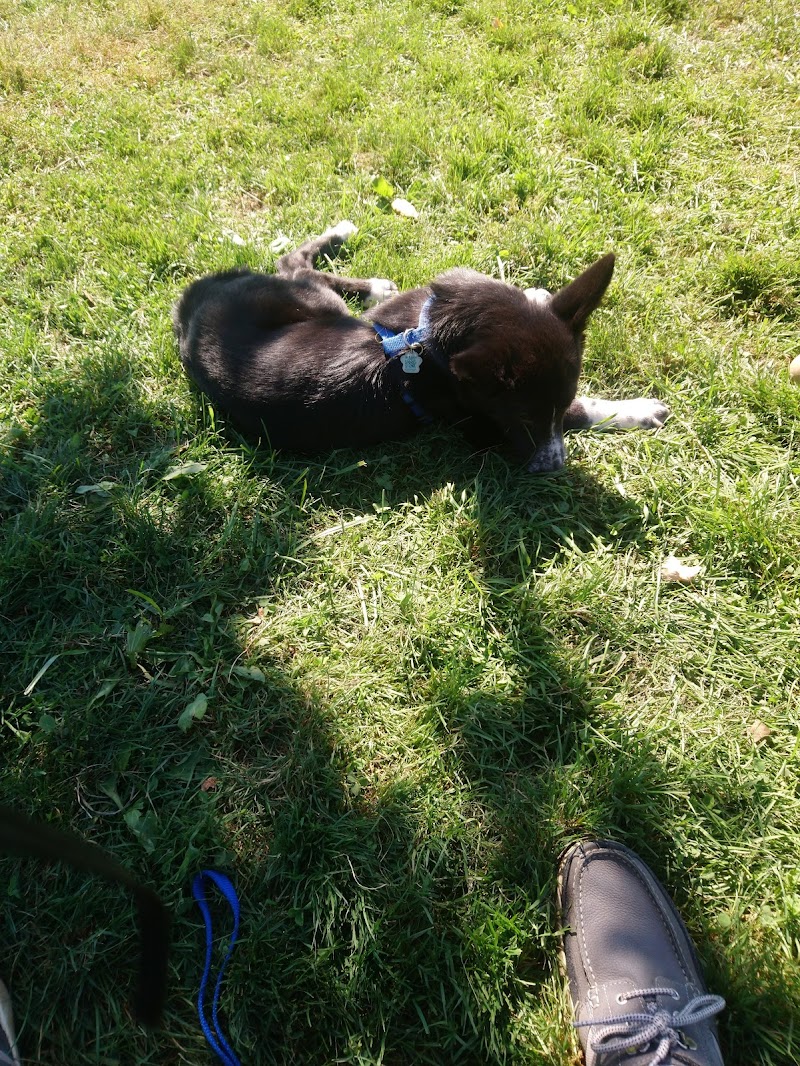 Steve McDonnell Leash Free Dog Park dog park in Grimsby, Ontario