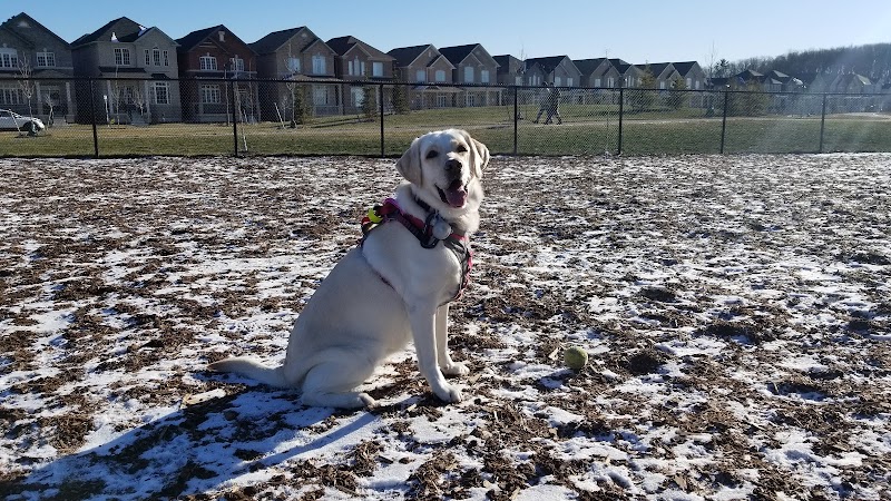 Cornell Community Dog Park dog park in Markham, Ontario