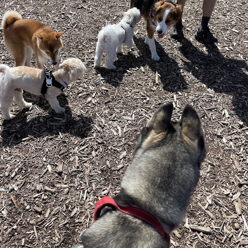 Cornell Community Dog Park dog park in Markham, Ontario