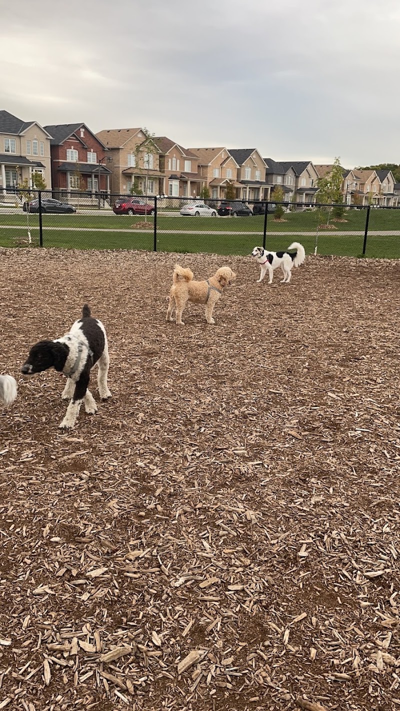 Cornell Community Dog Park dog park in Markham, Ontario